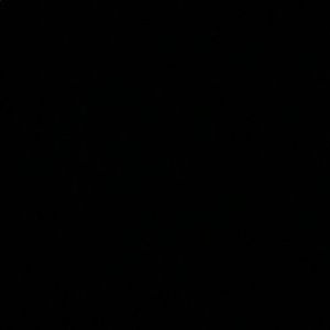 Meet your Posher, Bridget